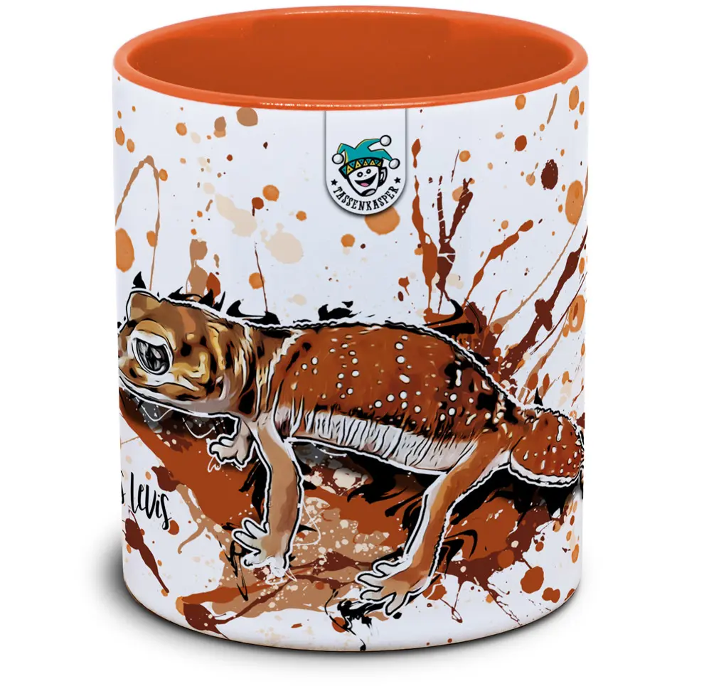 Nephrurus levis levis - Tassenkasper